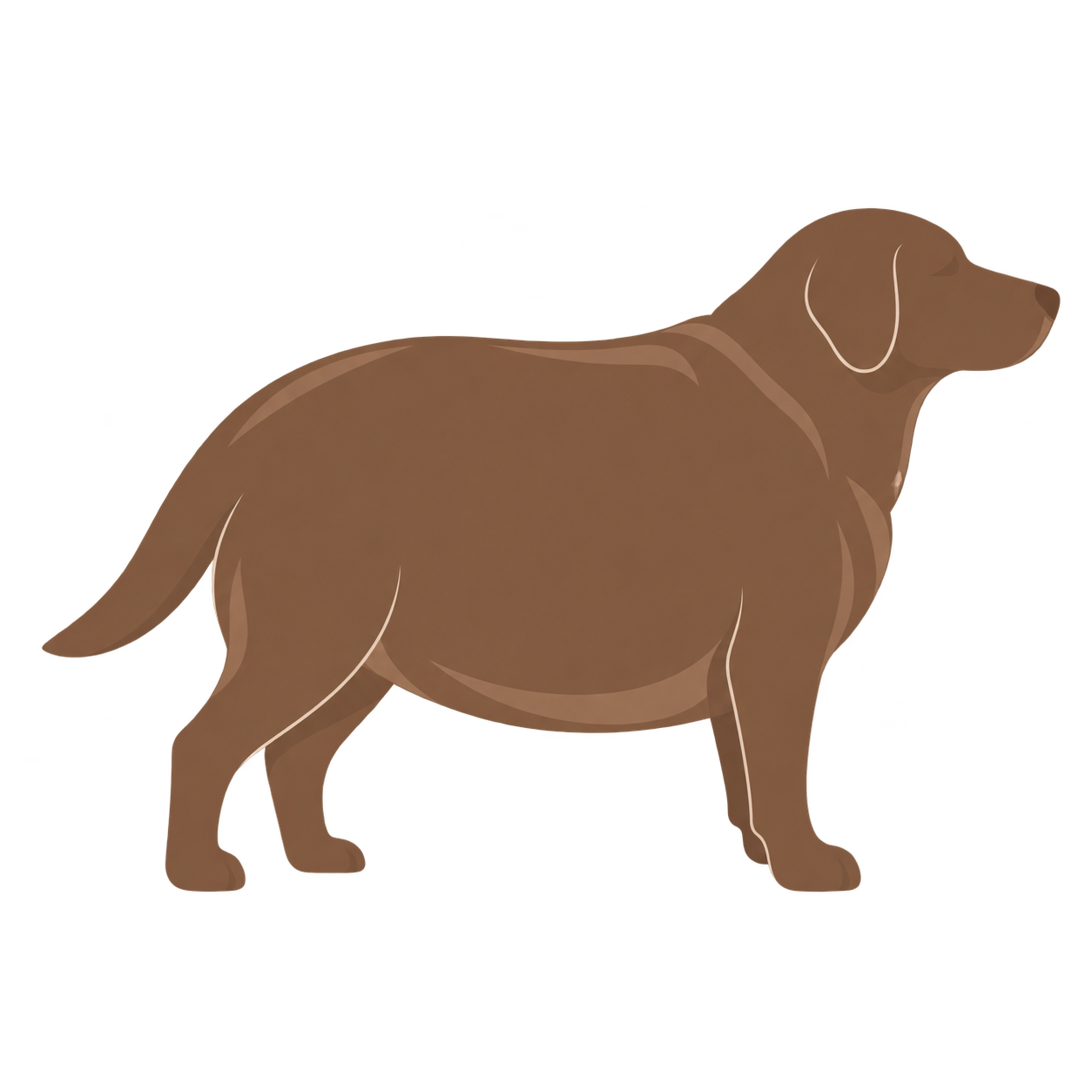 BCS 8/9 silhouette — Obese